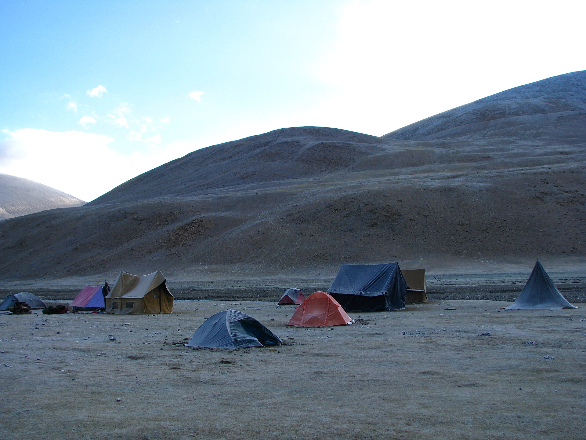 Vibrant green valley under a bright blue sky in Ladakh