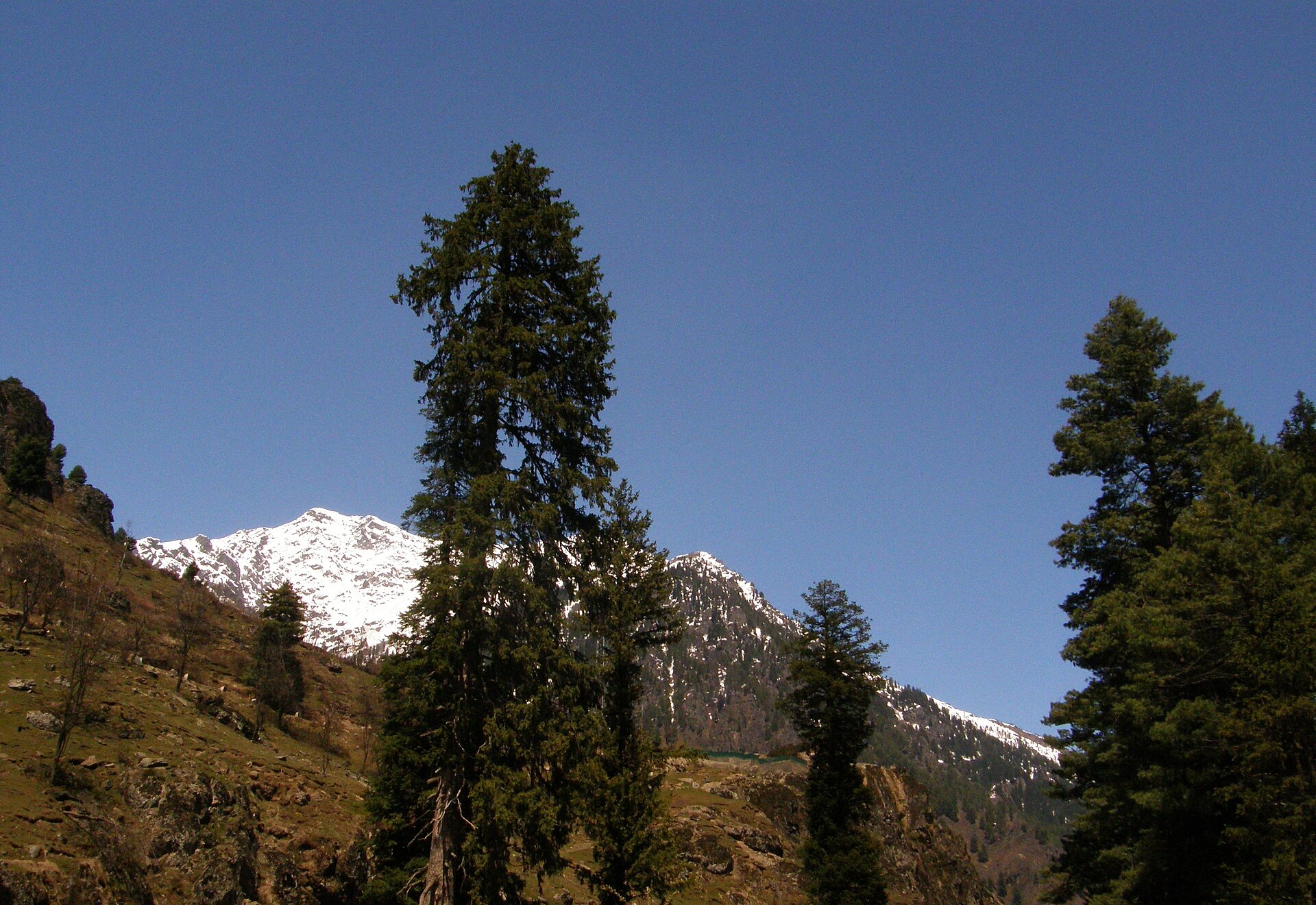 Snow bridge over a mountain stream near Chandanwari