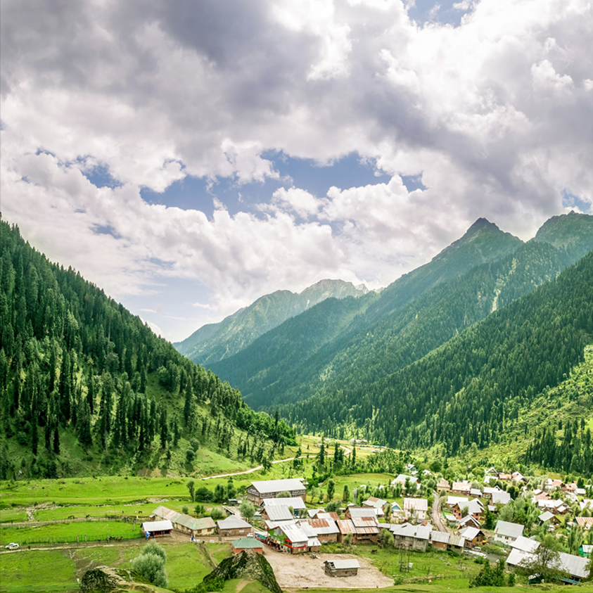 Green meadows and horses grazing in Aru Valley