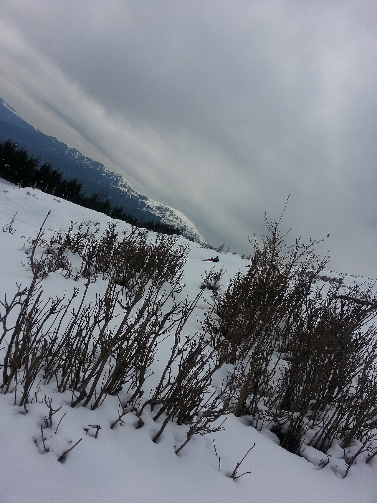 Patnitop — The Benefits of a Slow-Paced Weekend