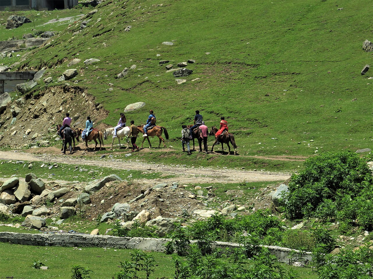 A visitor riding a pony in a mountain meadow.