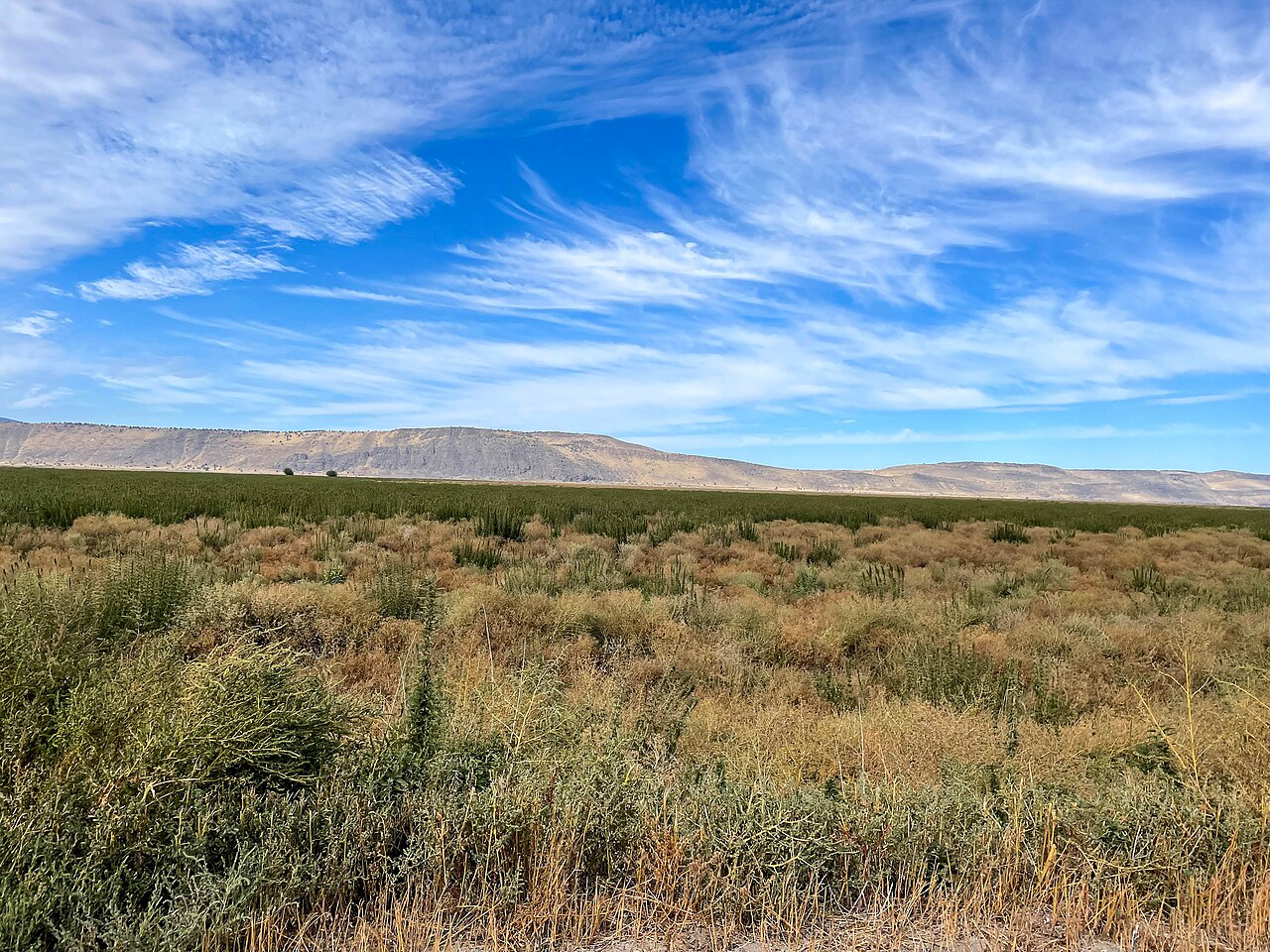 The protected habitat of the park