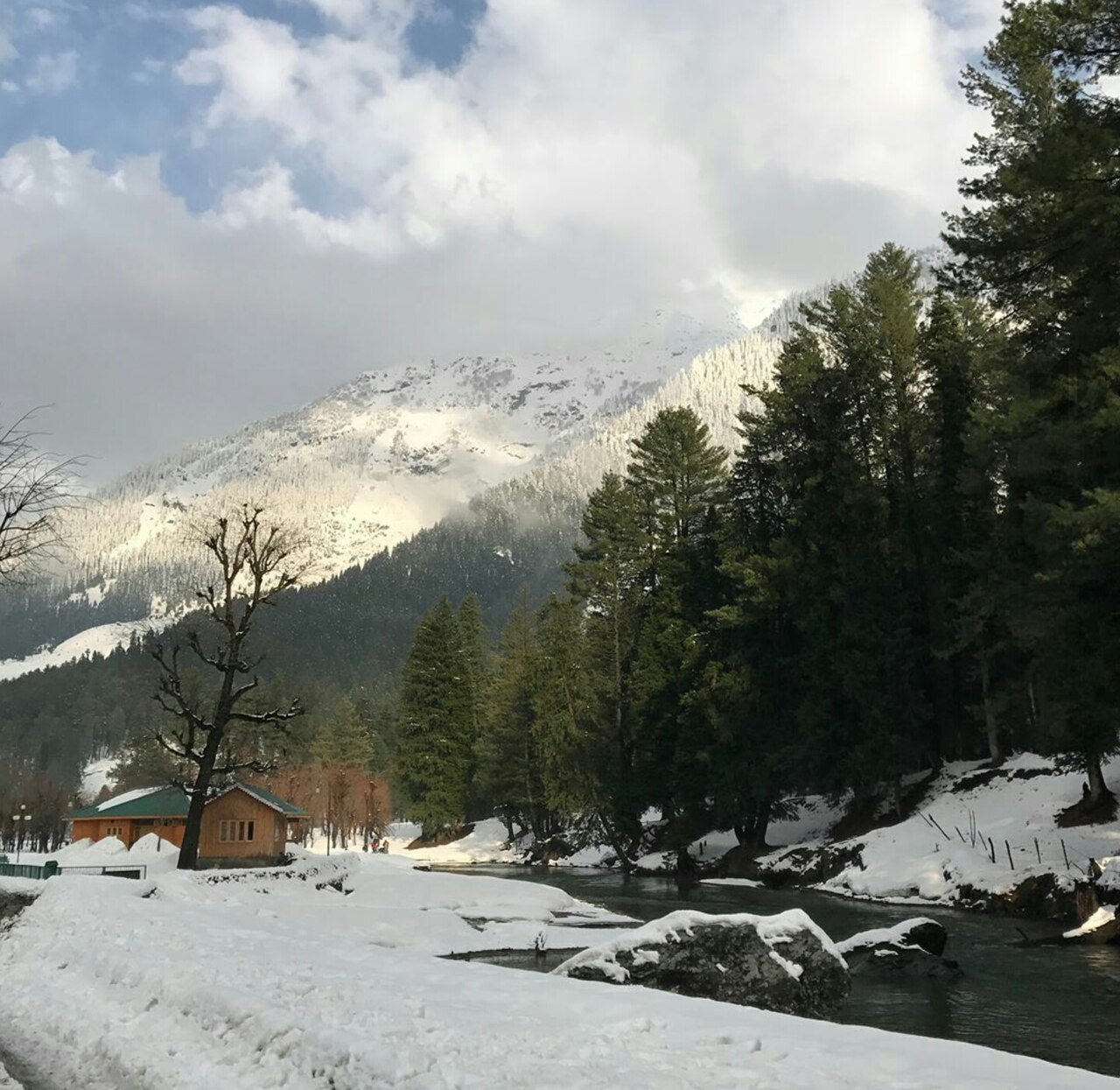 A split view showing the grassy slopes of Gulmarg and the rocky mountain faces of Sonmarg.