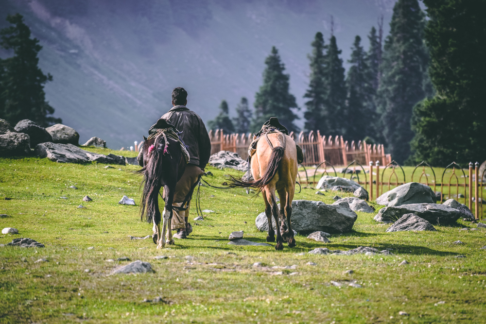 Sonmarg — Summer Conditions (May to August)