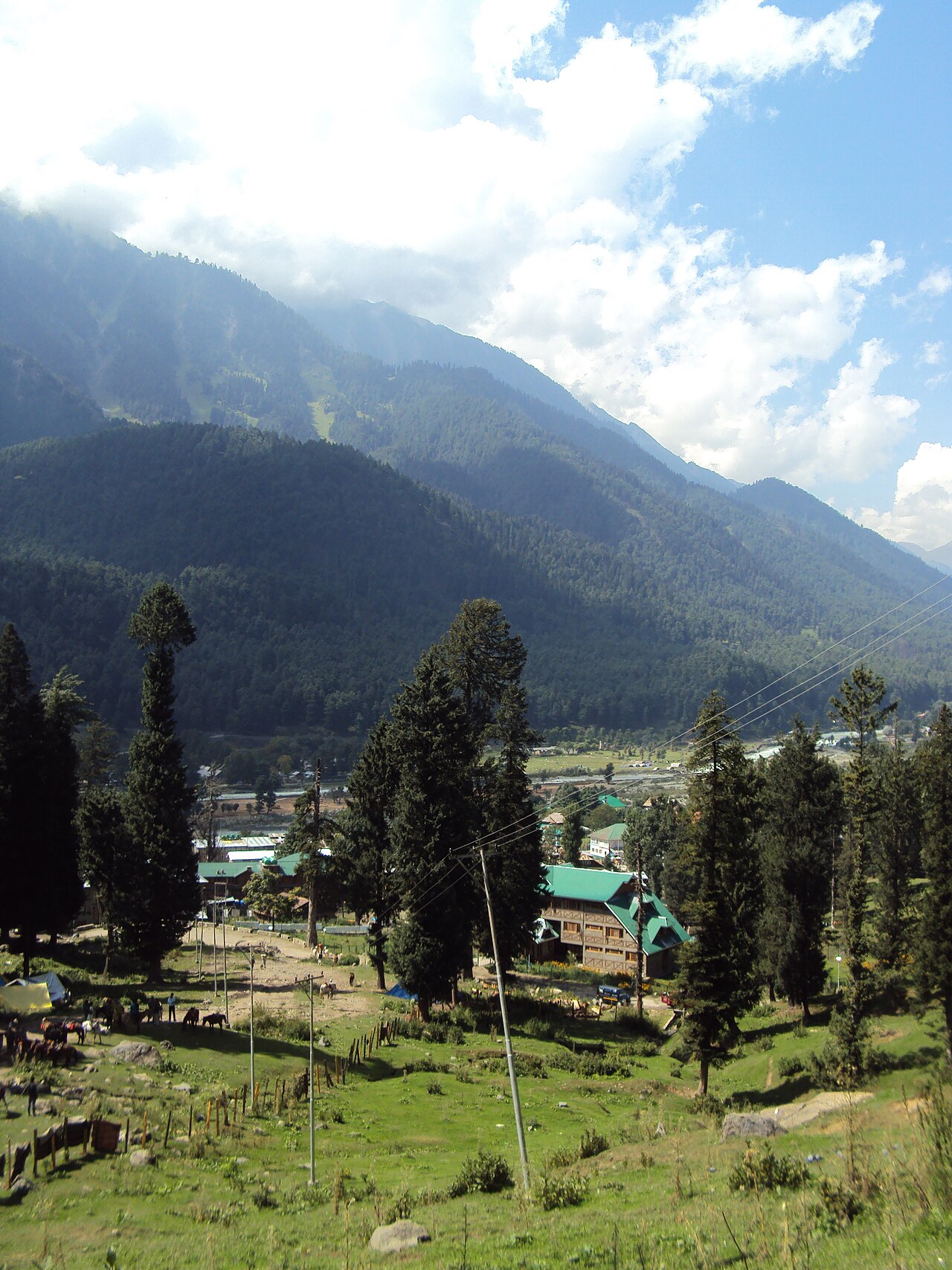 Pine trees and the rushing Lidder River in Pahalgam