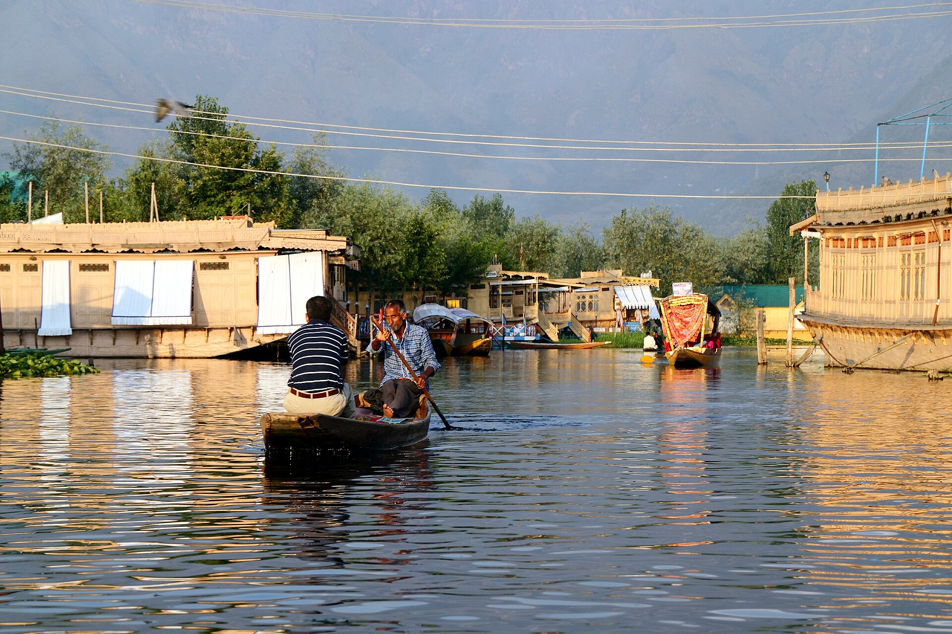 Shikara boats on Dal Lake at sunrise in Srinagar