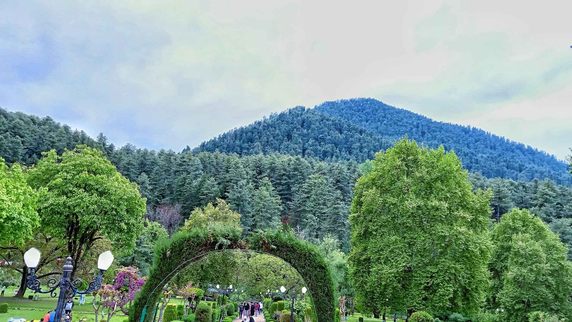 Walking path lined with trees in Kokernag garden