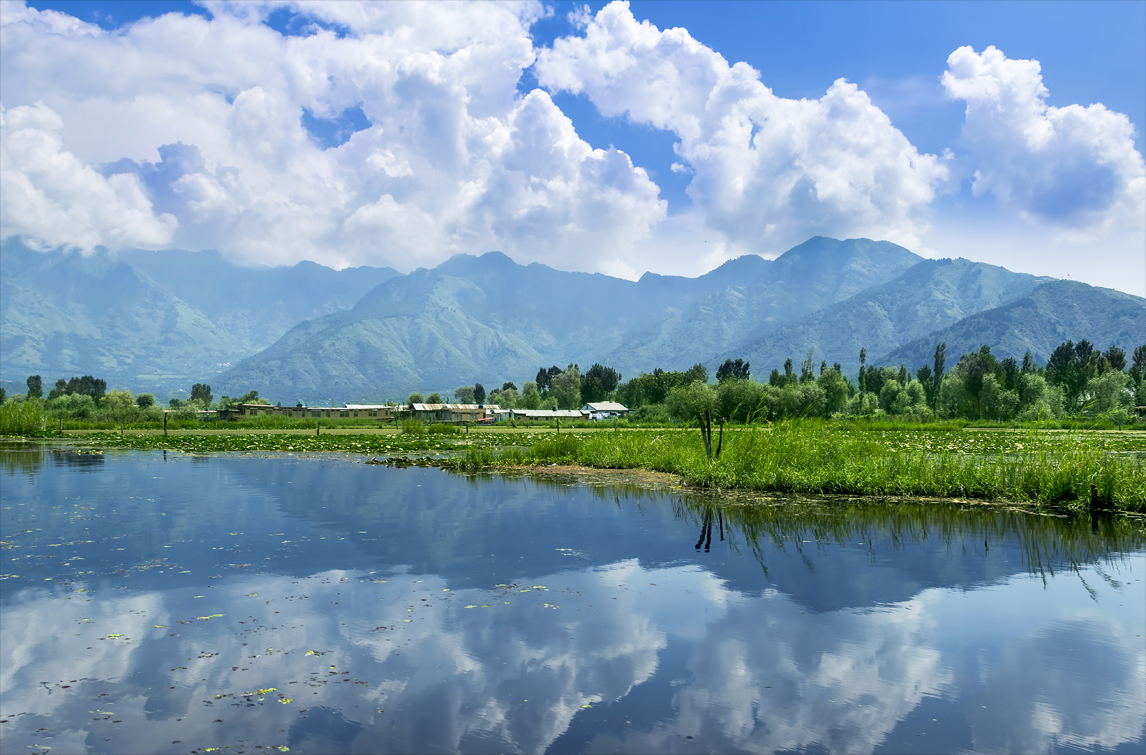 Family walking along tree-lined garden path in Srinagar Kashmir