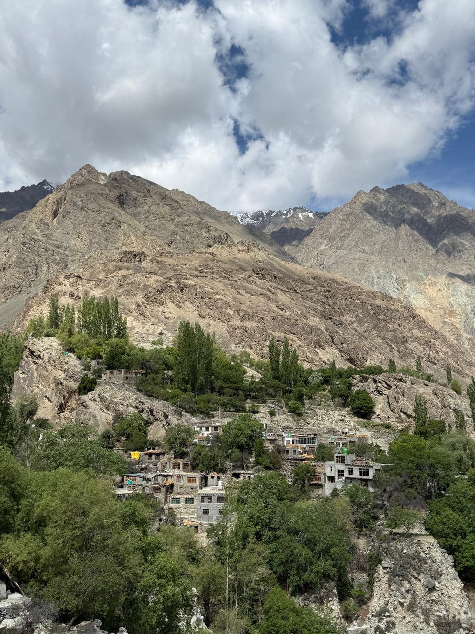 Traditional stone houses and green terraces in Turtuk