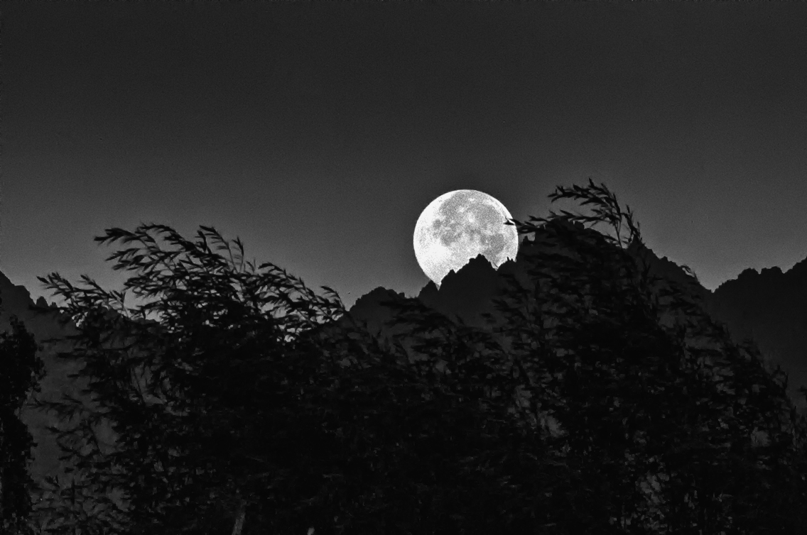 Stars visible over Himalayan peaks