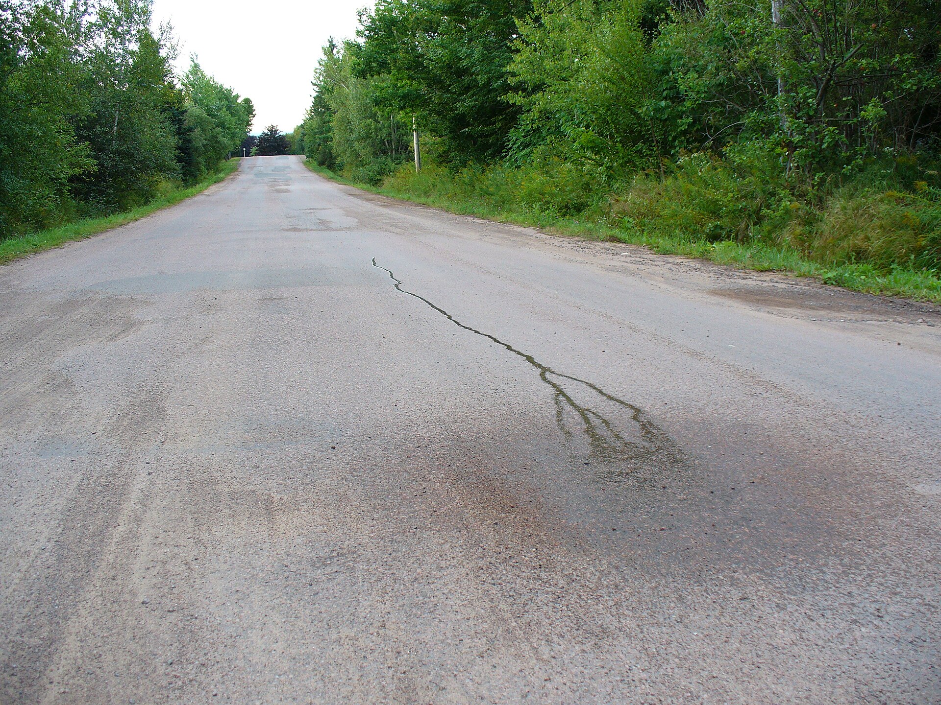 A mountain road viewed against a tilted horizon line.