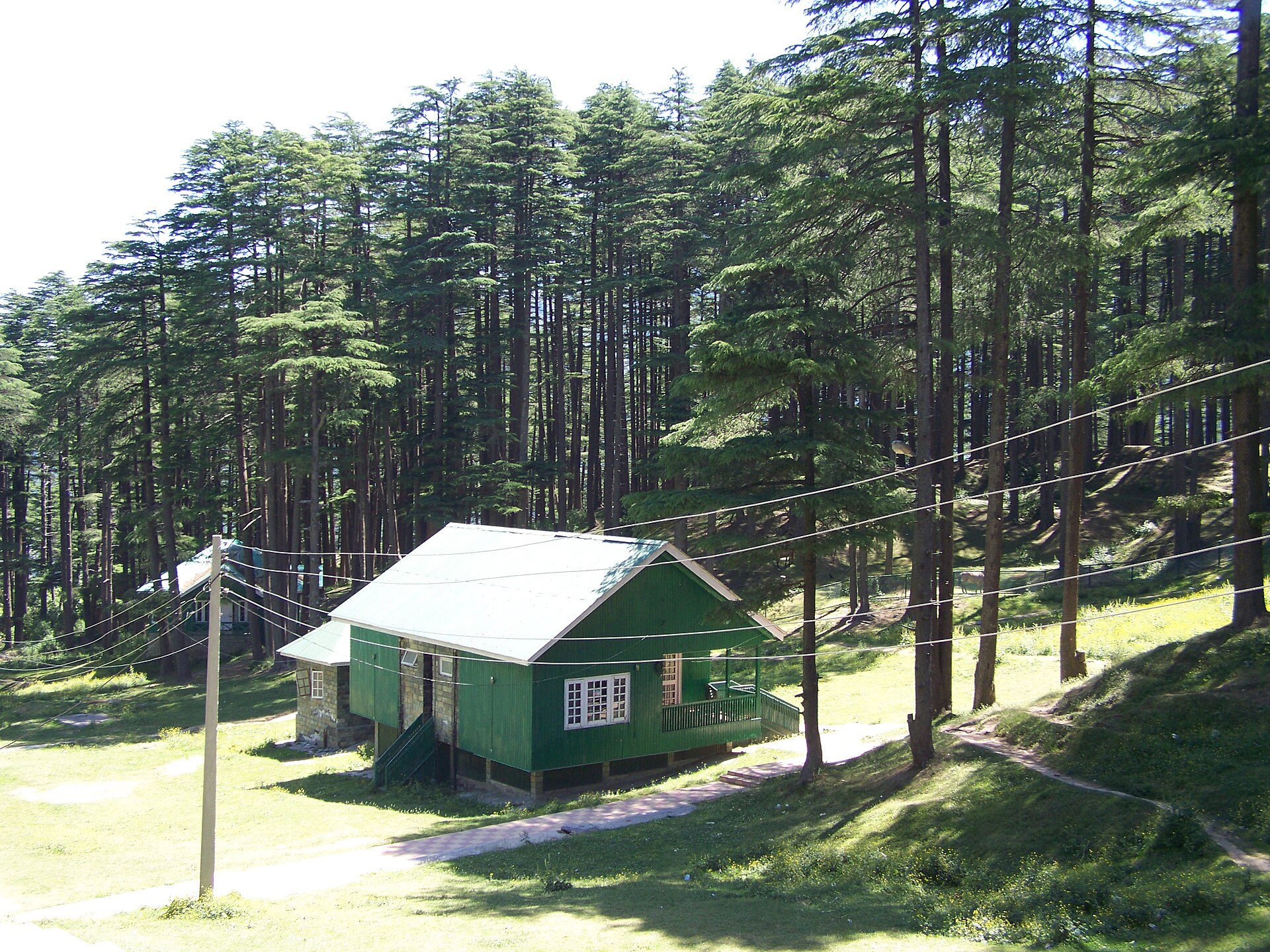 Skyview gondola moving over the green trees in Patnitop