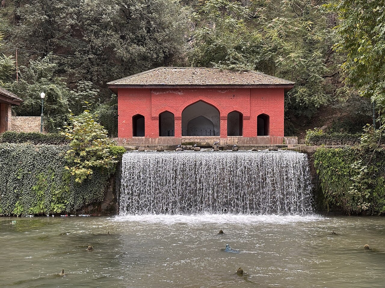 Massive chinar tree canopy casting shade over stone pathways