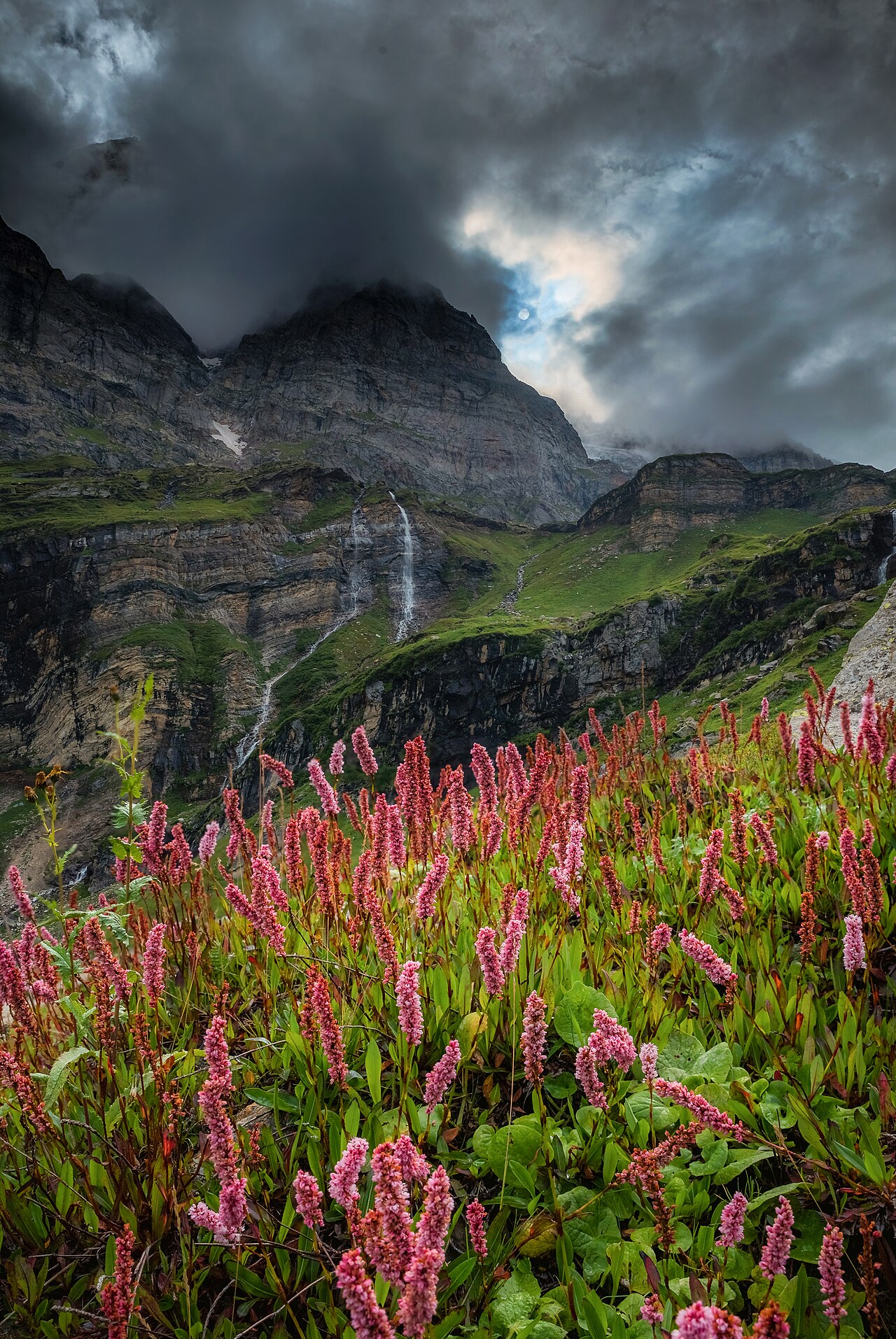Dramatic clouds over alpine meadows