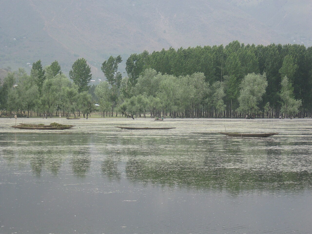 Traditional boat on Wular Lake