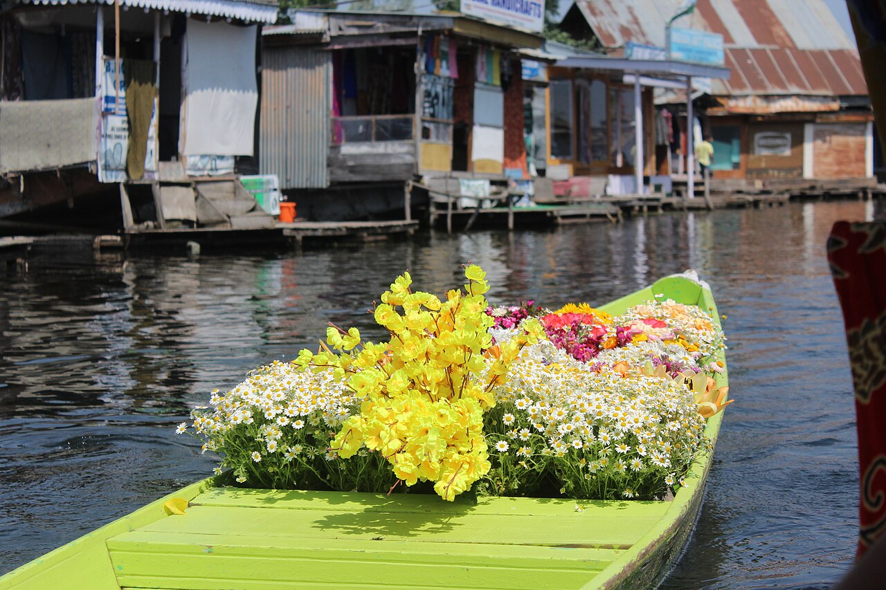 Dal Lake — Exploring the Floating Gardens and Lotus Fields