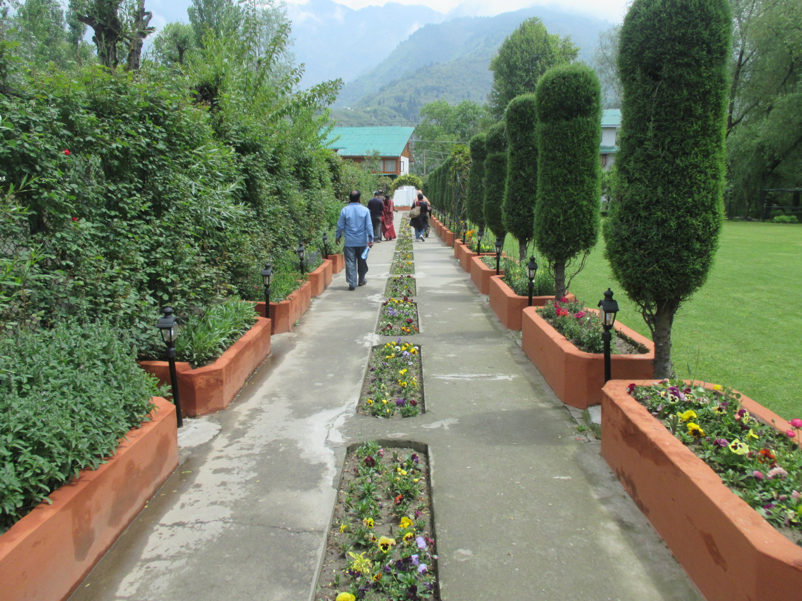 Tulip garden in Srinagar during spring bloom