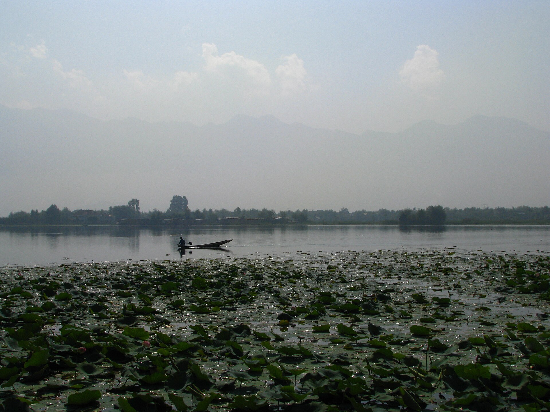 Shikara on Dal Lake in early morning mist