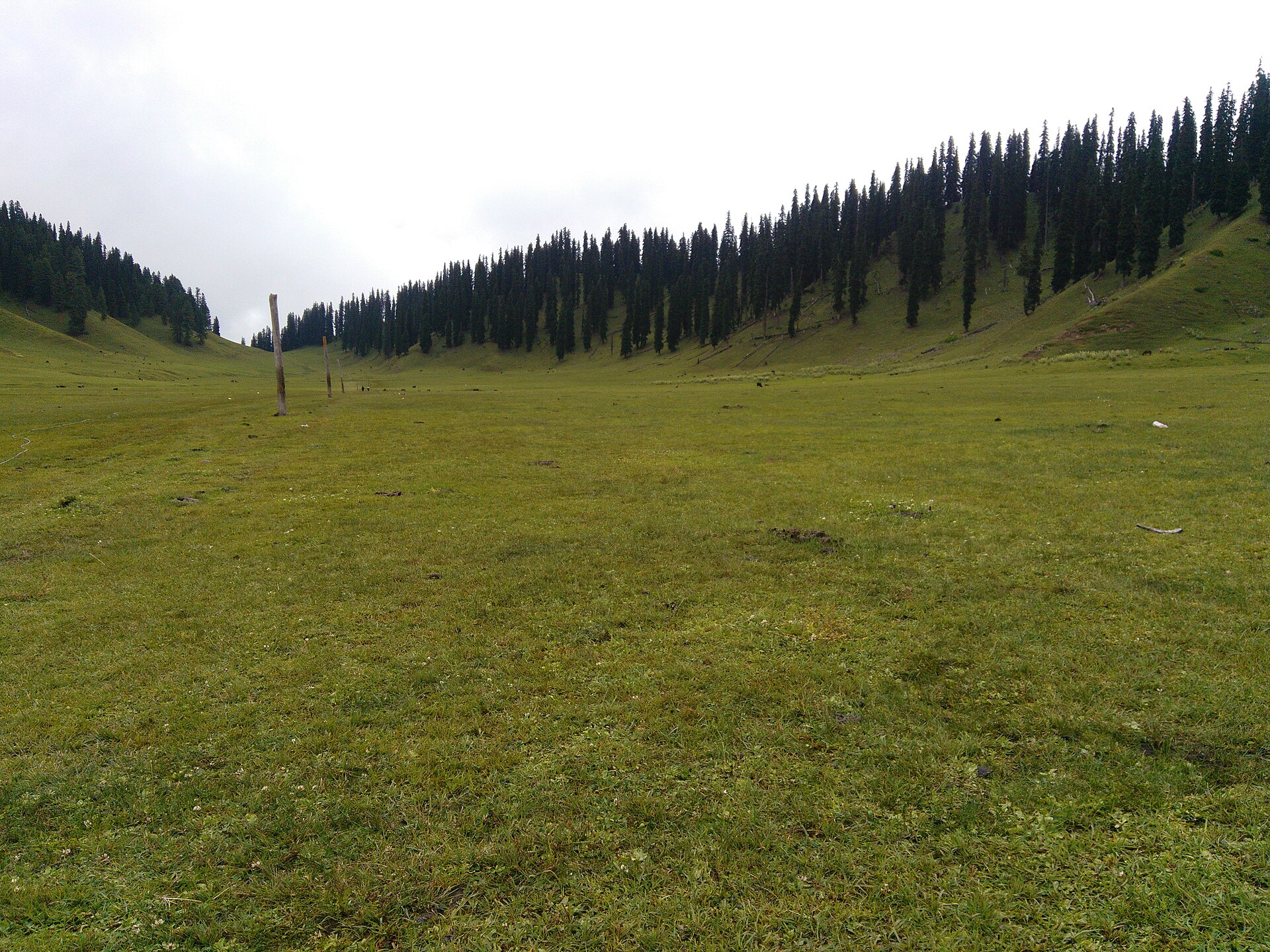 Green meadows of Bangus Valley in summer