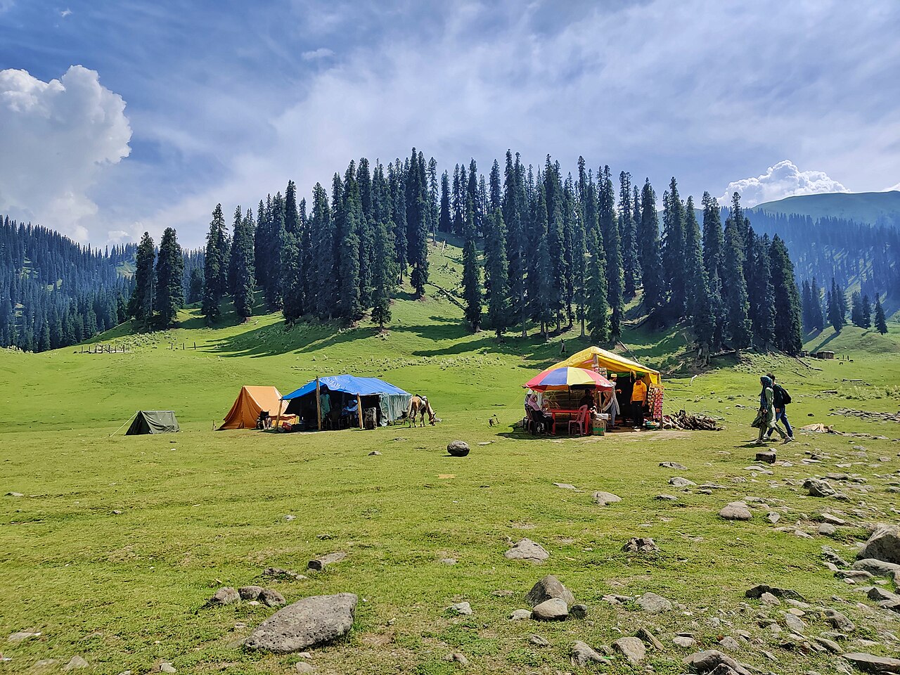 Camping tent set up in a remote field