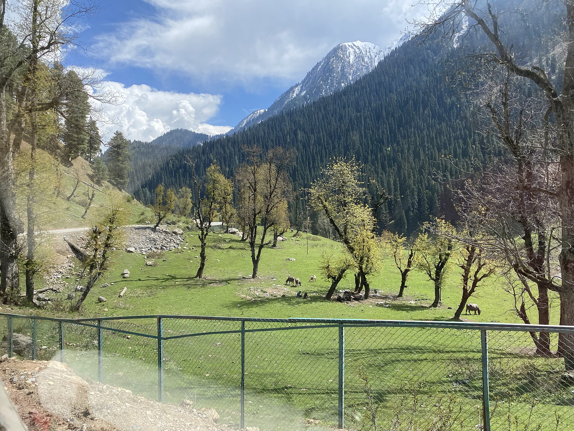 A winding mountain road near Pahalgam leading to Aru