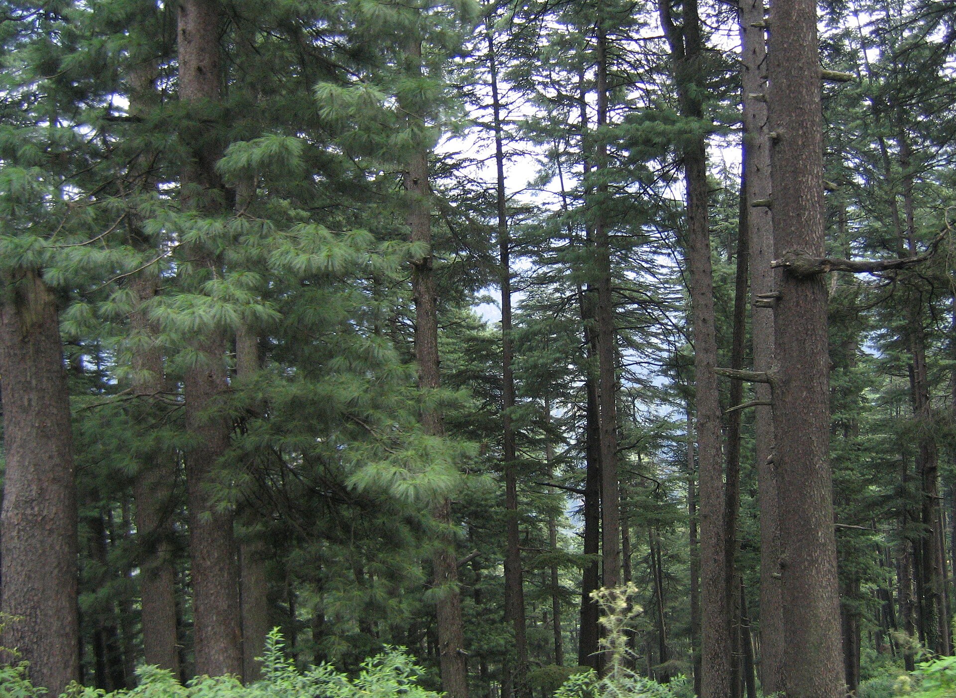The entrance to the Jawahar Tunnel connecting Jammu and the Kashmir Valley.