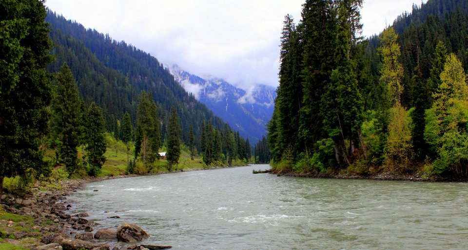 Small, clear mountain stream flowing through grass