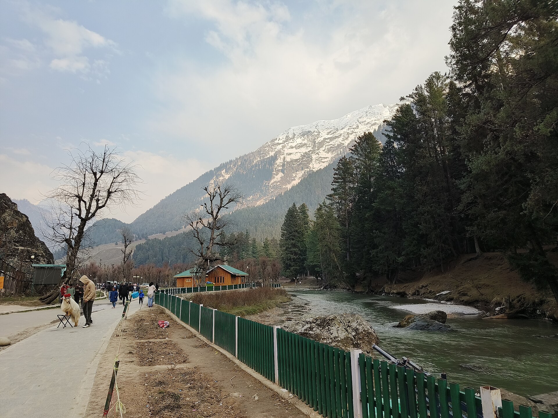 Green meadows and mountains of Betaab Valley under blue sky