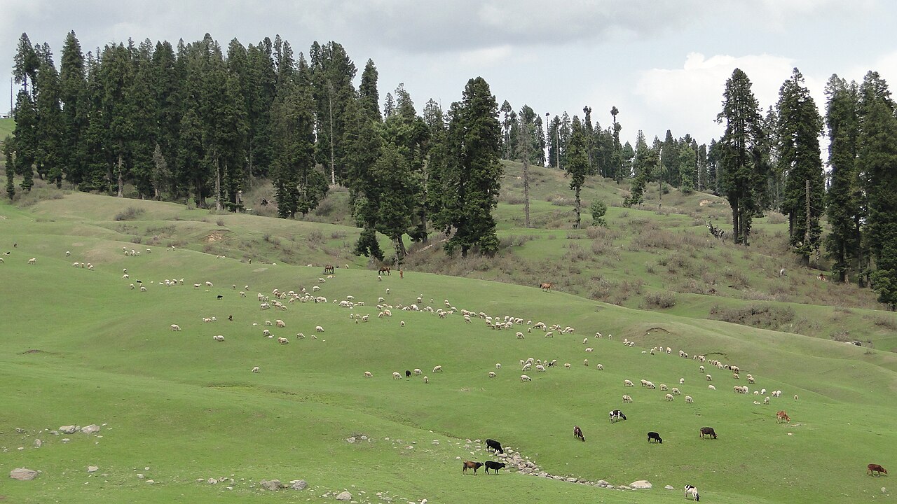 Doodhpathri — Geographic Highlights of the Budgam Area