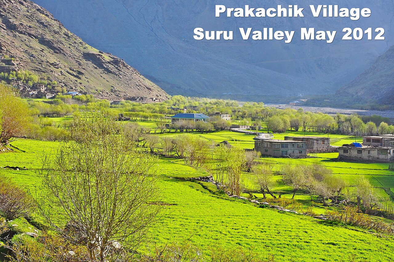 Lush green fields in the Kashmir valley