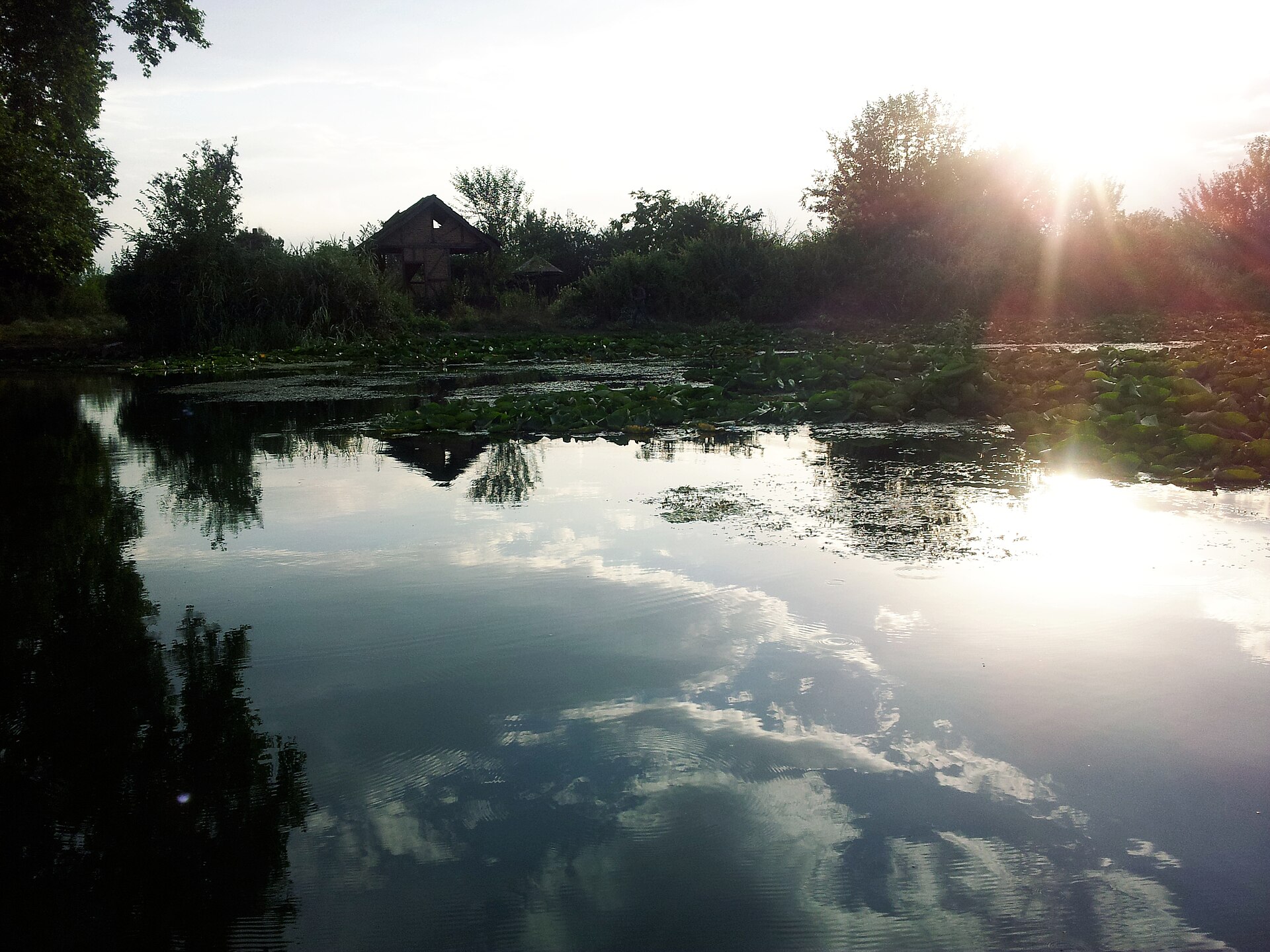 A peaceful sunrise on Dal Lake with a traditional shikara boat.