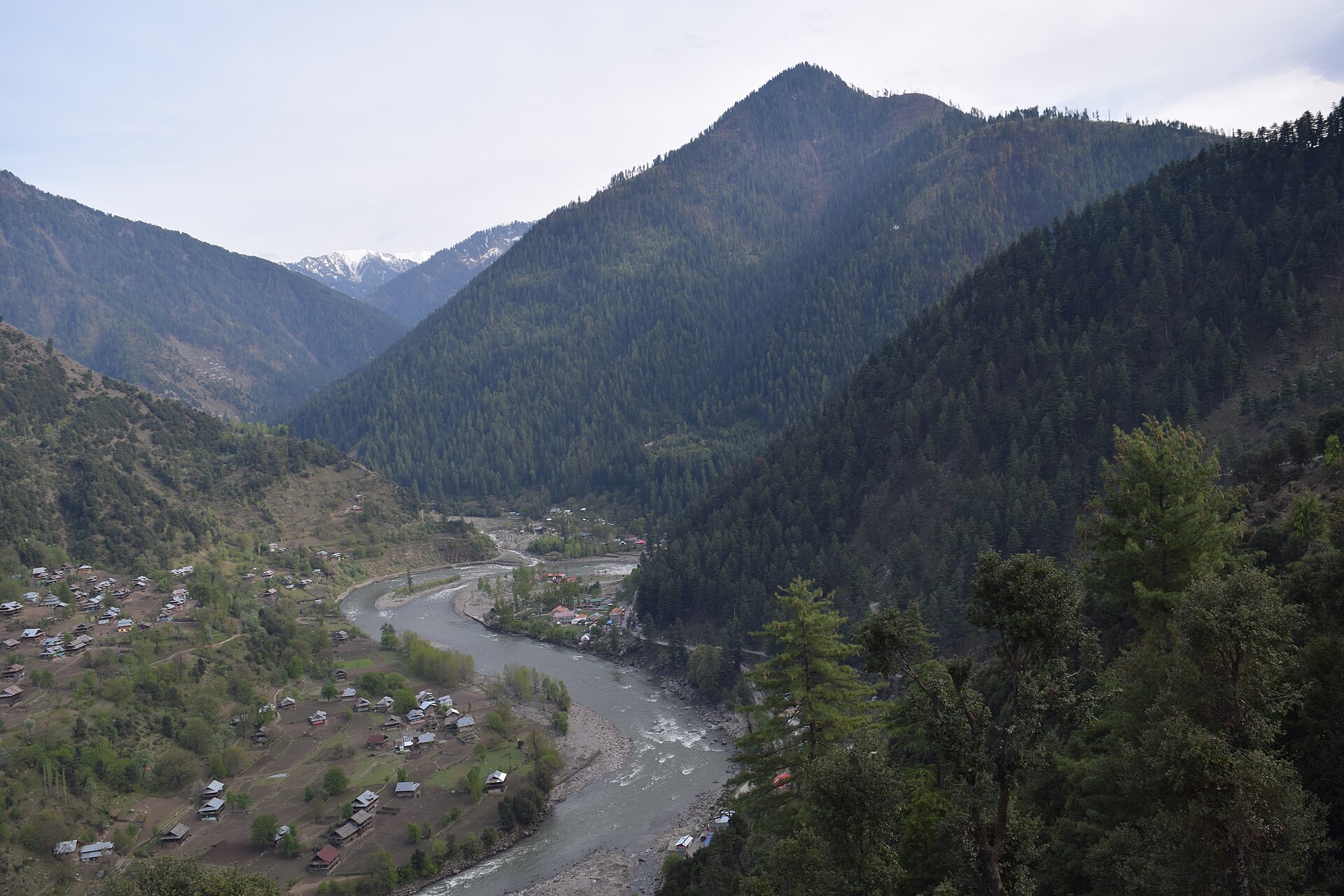 Panoramic view of Jammu mountain ranges and pine forests