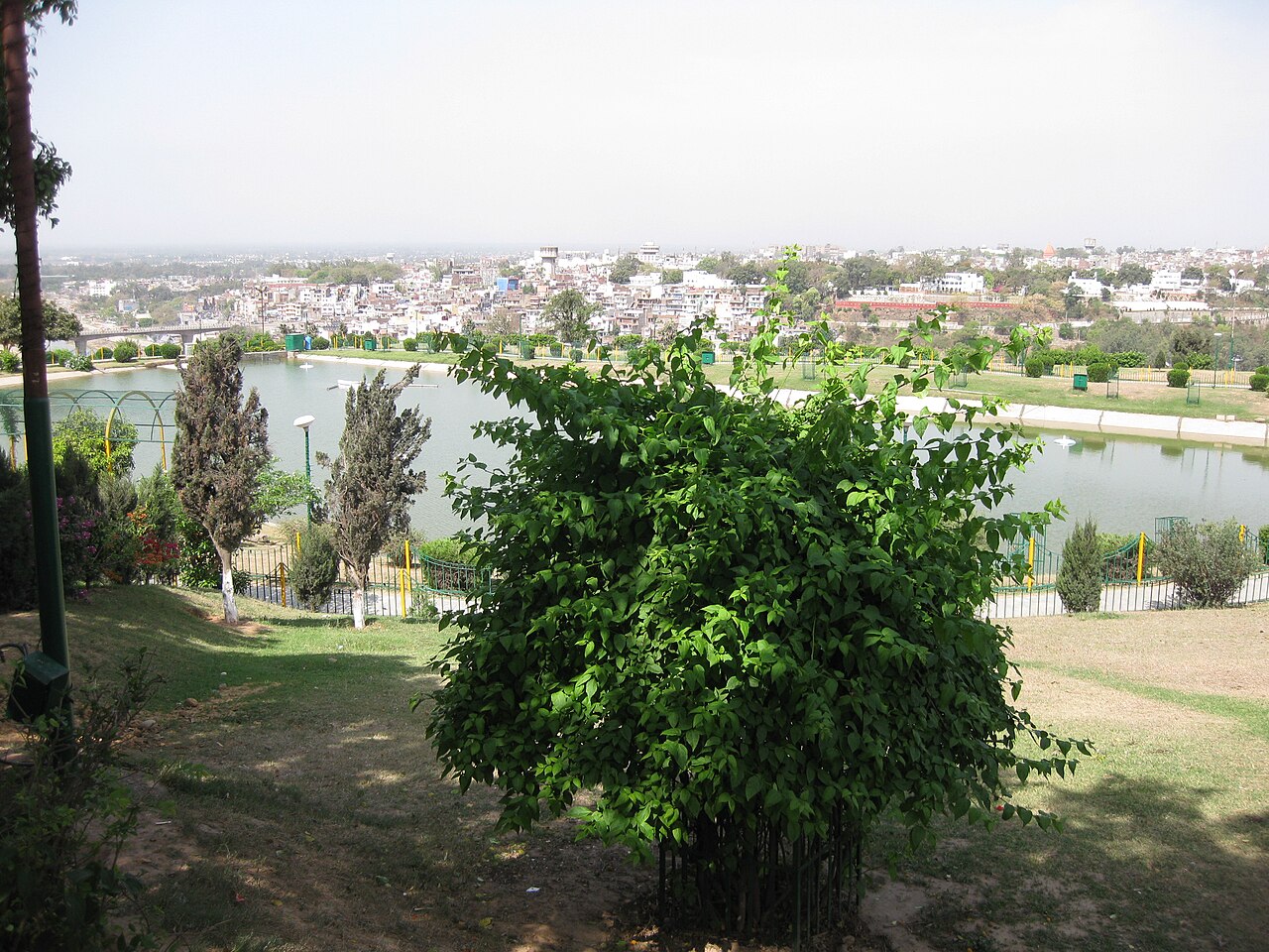 Green terraced lawns and fountains at Bagh-e-Bahu