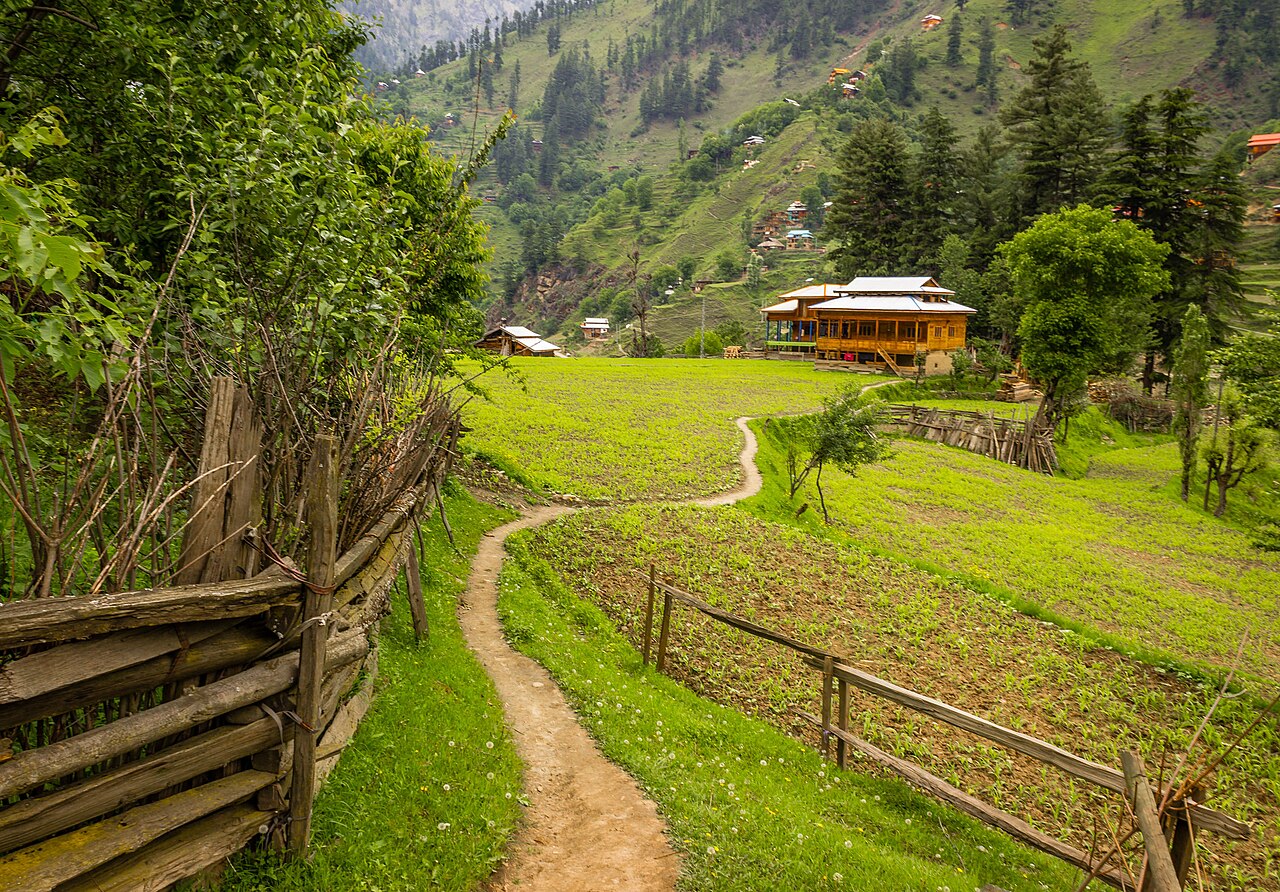 Wide path in the mountain meadow.