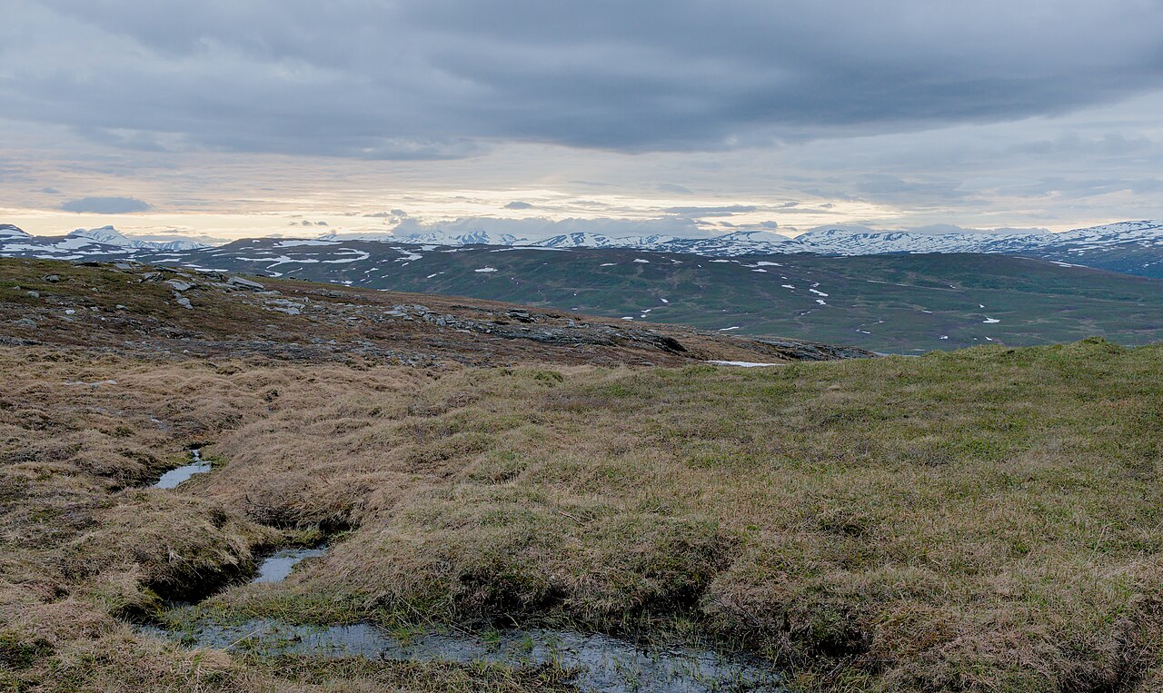 Snow-capped mountain peaks rising behind a green valley