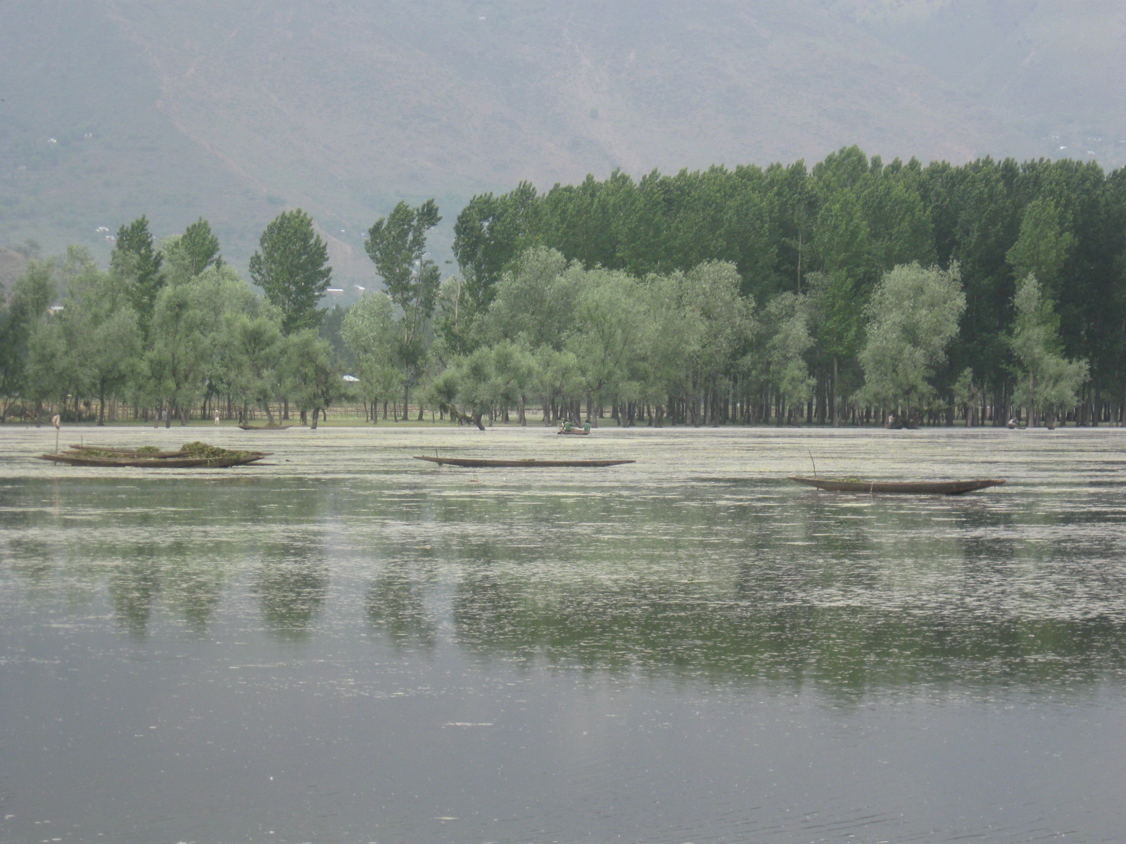Traditional village houses and fields near the Bandipora district in Kashmir