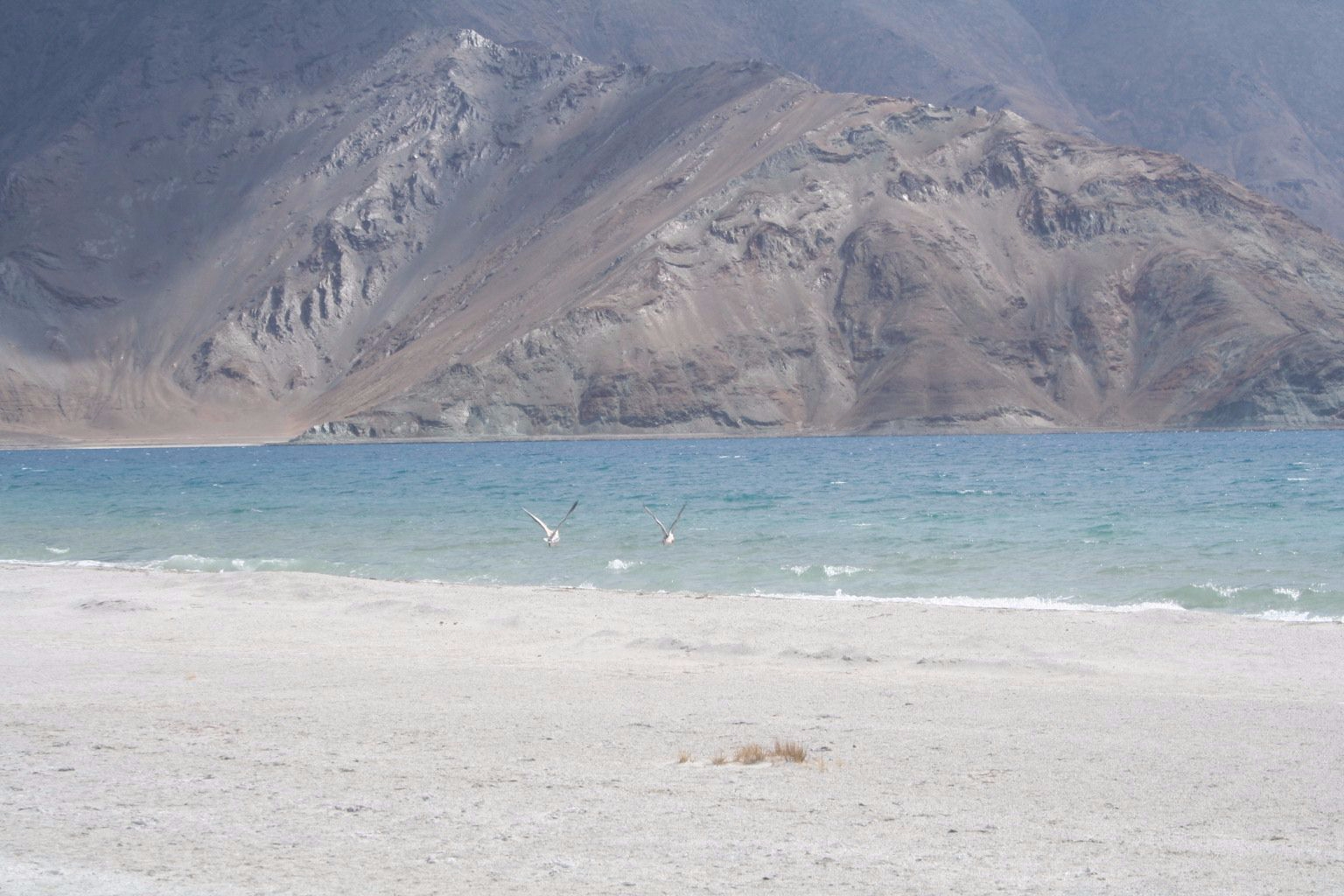 Traditional stone houses in Merak village near Pangong Tso