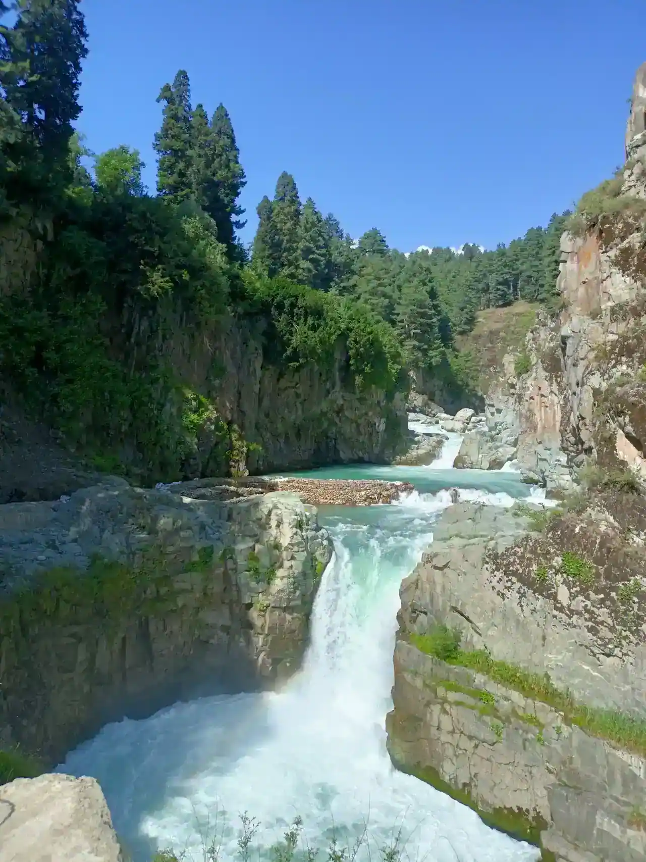 Aharbal Waterfall — the veshaw river dropping through a pine gorge, Kulgam district, Kashmir