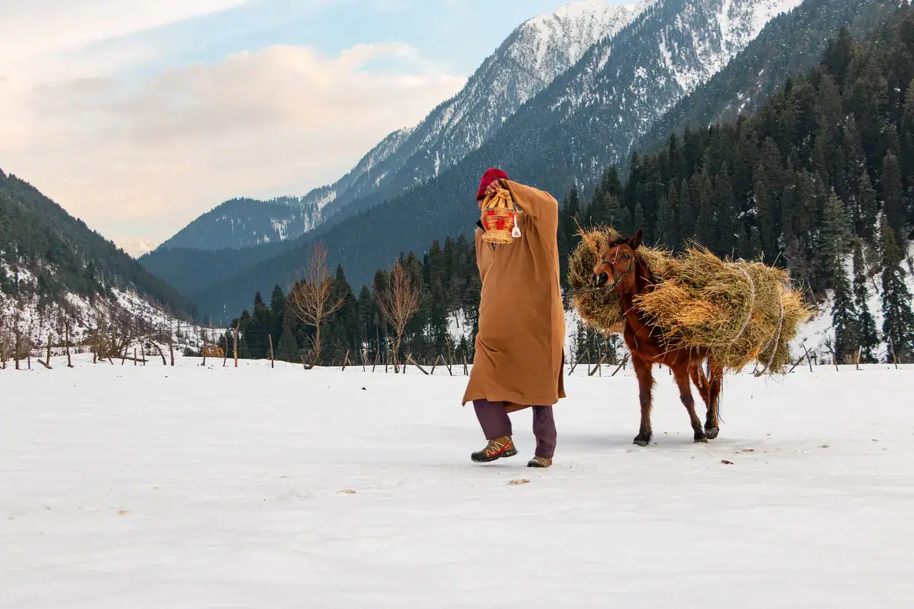 Aru Valley — the trailhead where the real mountains begin, Anantnag district, Kashmir