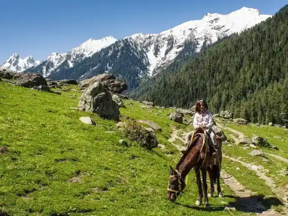 Aru Valley in summer — view 1, Anantnag district, Kashmir