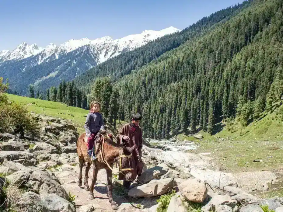 Aru Valley in summer — view 2, Anantnag district, Kashmir