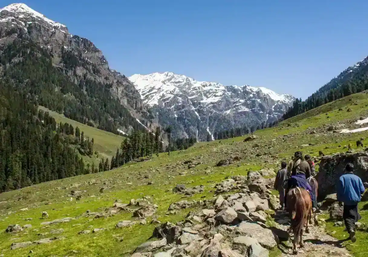 Aru Valley in summer — view 3, Anantnag district, Kashmir