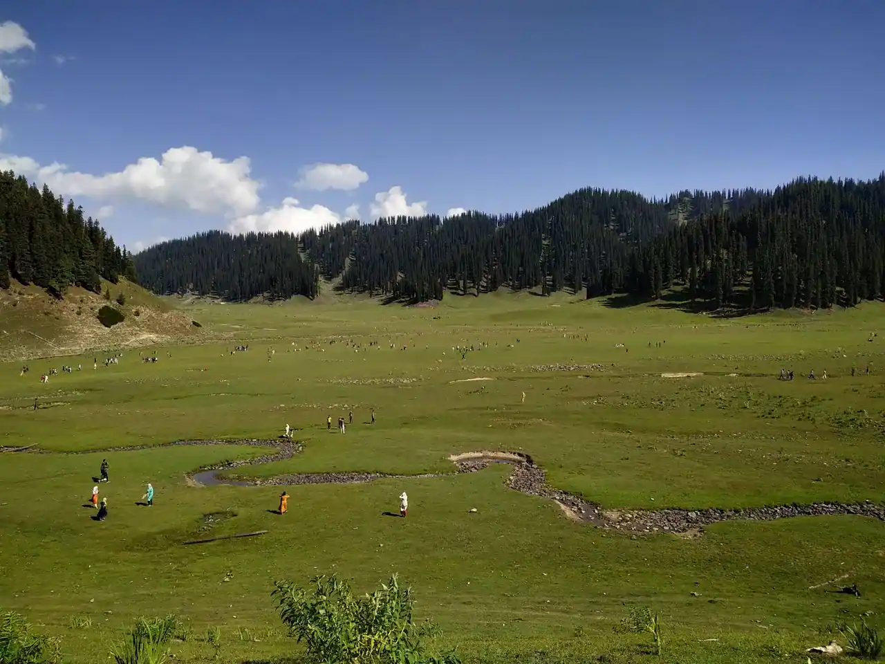 Bangus Valley in summer — view 1, Kupwara district, Kashmir