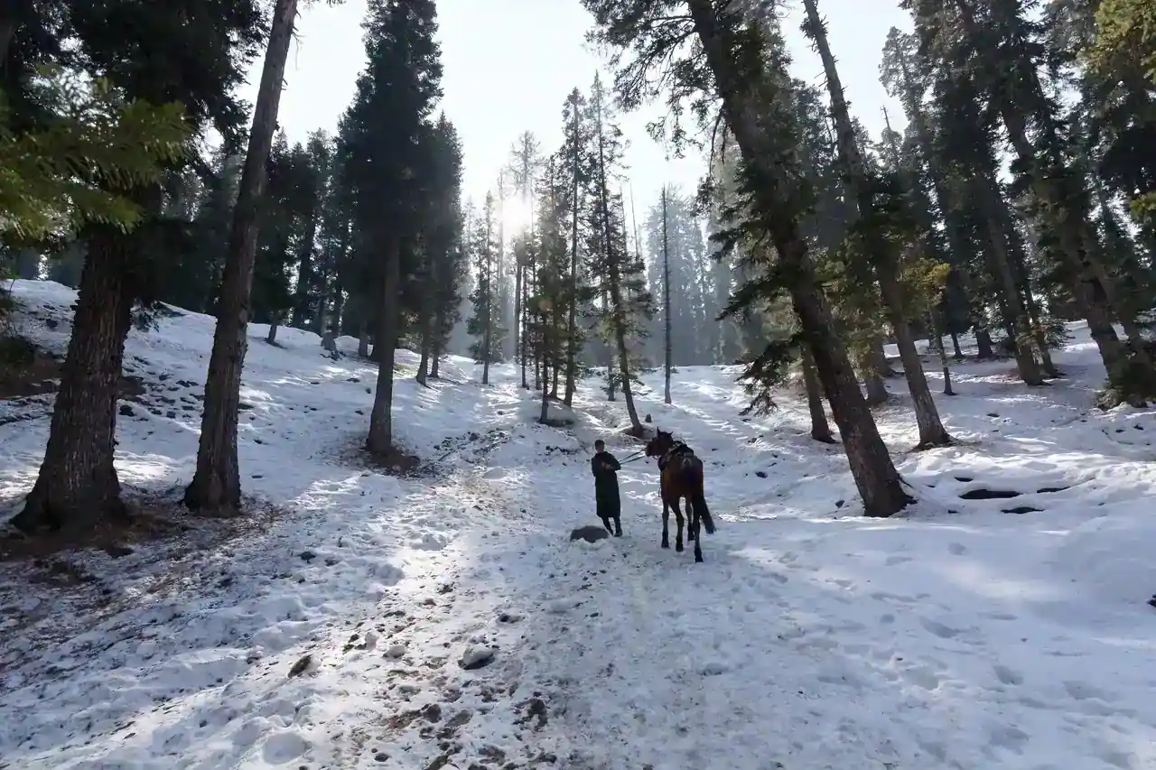 Betaab Valley under snow — view 1, Anantnag district, Kashmir