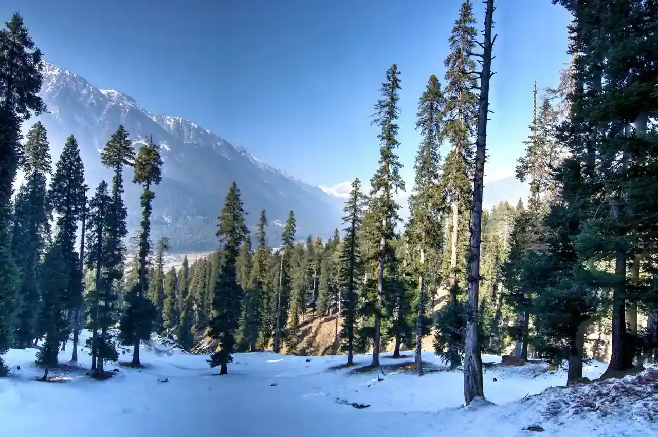 Betaab Valley under snow — view 2, Anantnag district, Kashmir