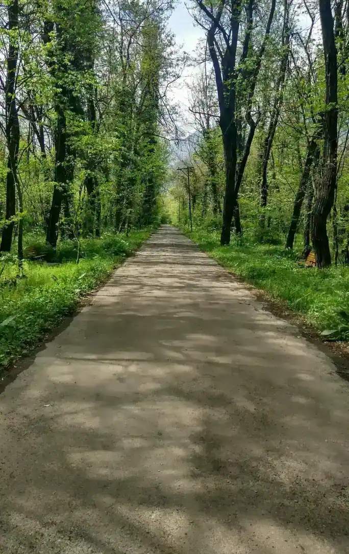 Dachigam National Park — the last refuge of the kashmir stag, Srinagar district, Kashmir