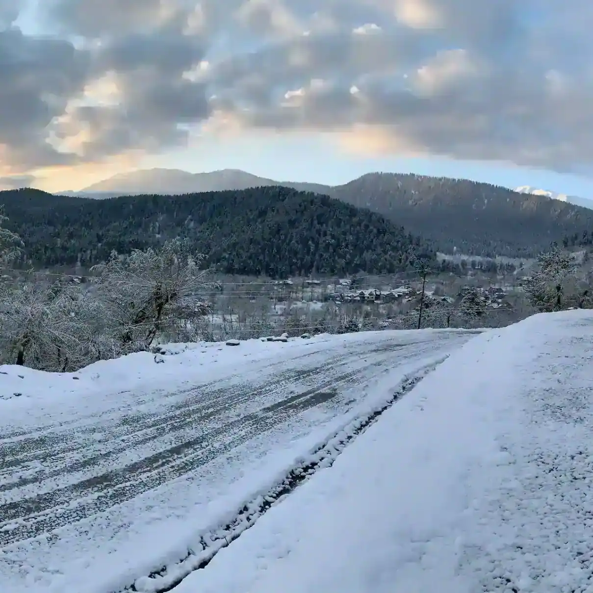 Dachigam National Park under snow — view 2, Srinagar district, Kashmir