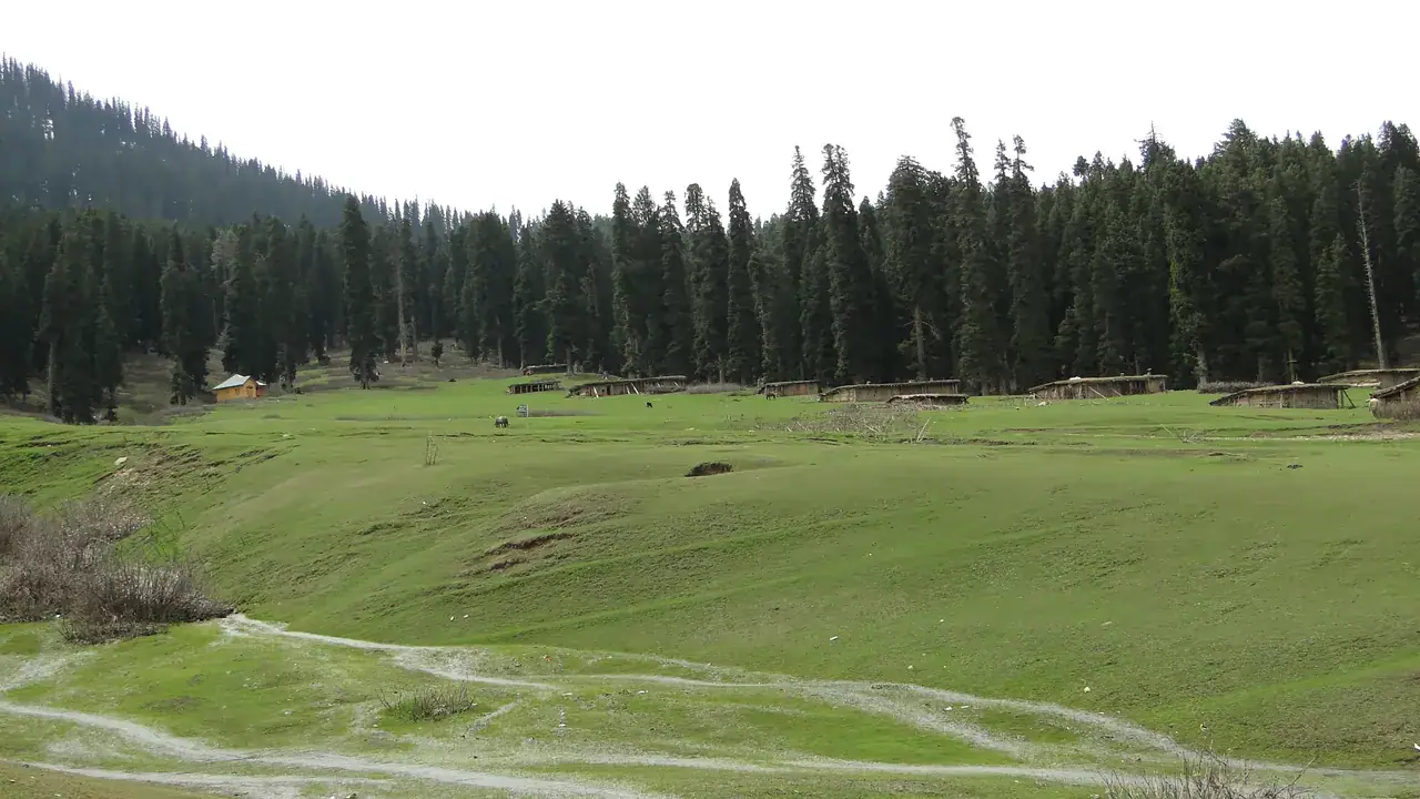 Doodhpathri — a milk-white stream through rolling meadow, Budgam district, Kashmir