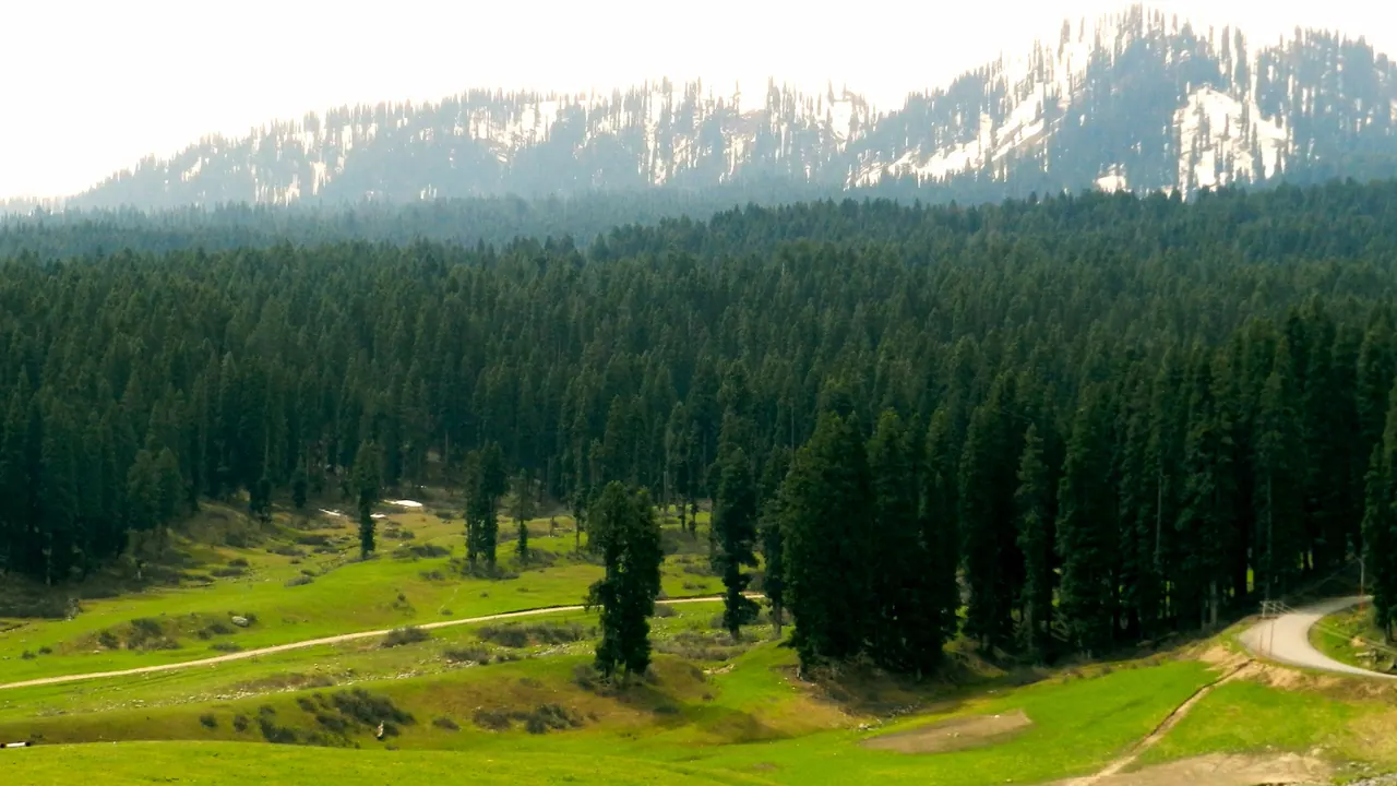Doodhpathri in summer — view 1, Budgam district, Kashmir