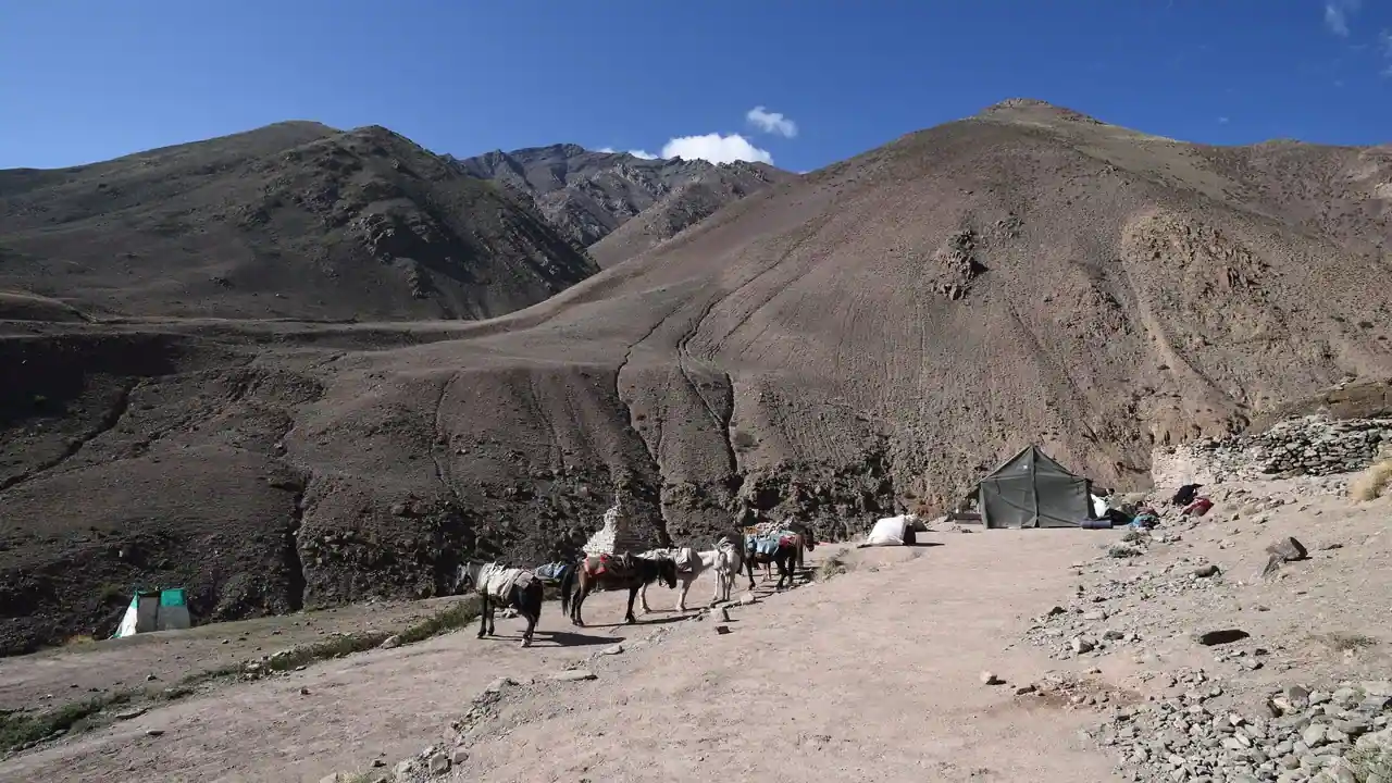 Leh in summer — view 2, Leh district, Ladakh